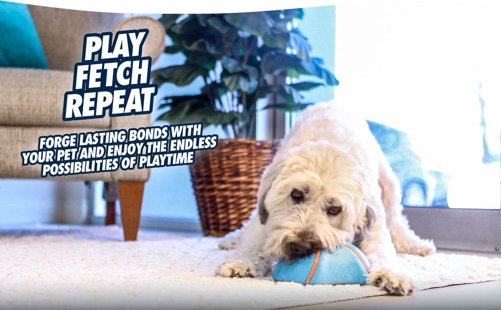 Chuckit! Indoor Super Slider