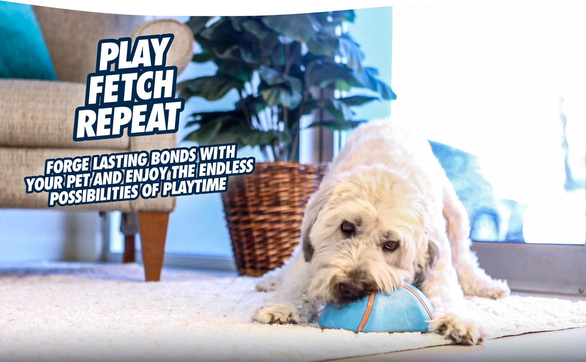 Chuckit! Indoor Super Slider