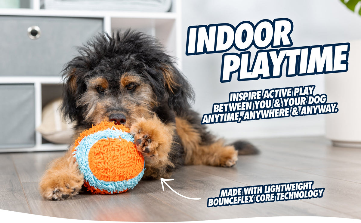 Chuckit! Indoor Ball