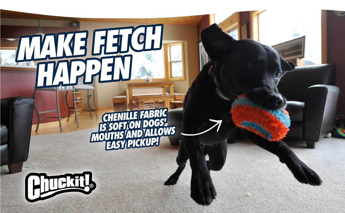 Package deal Chuckit Indoor Fetch Toys