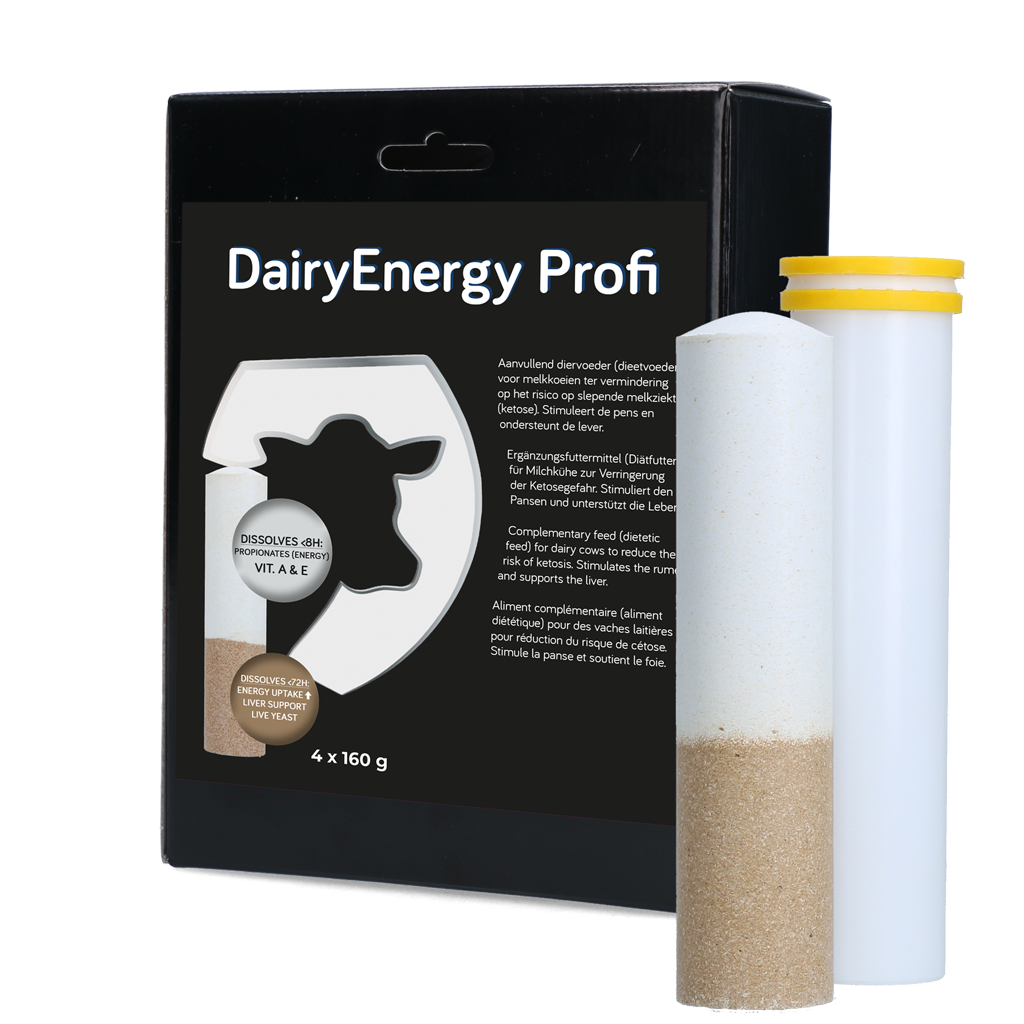 Dairy Energy Bolus
