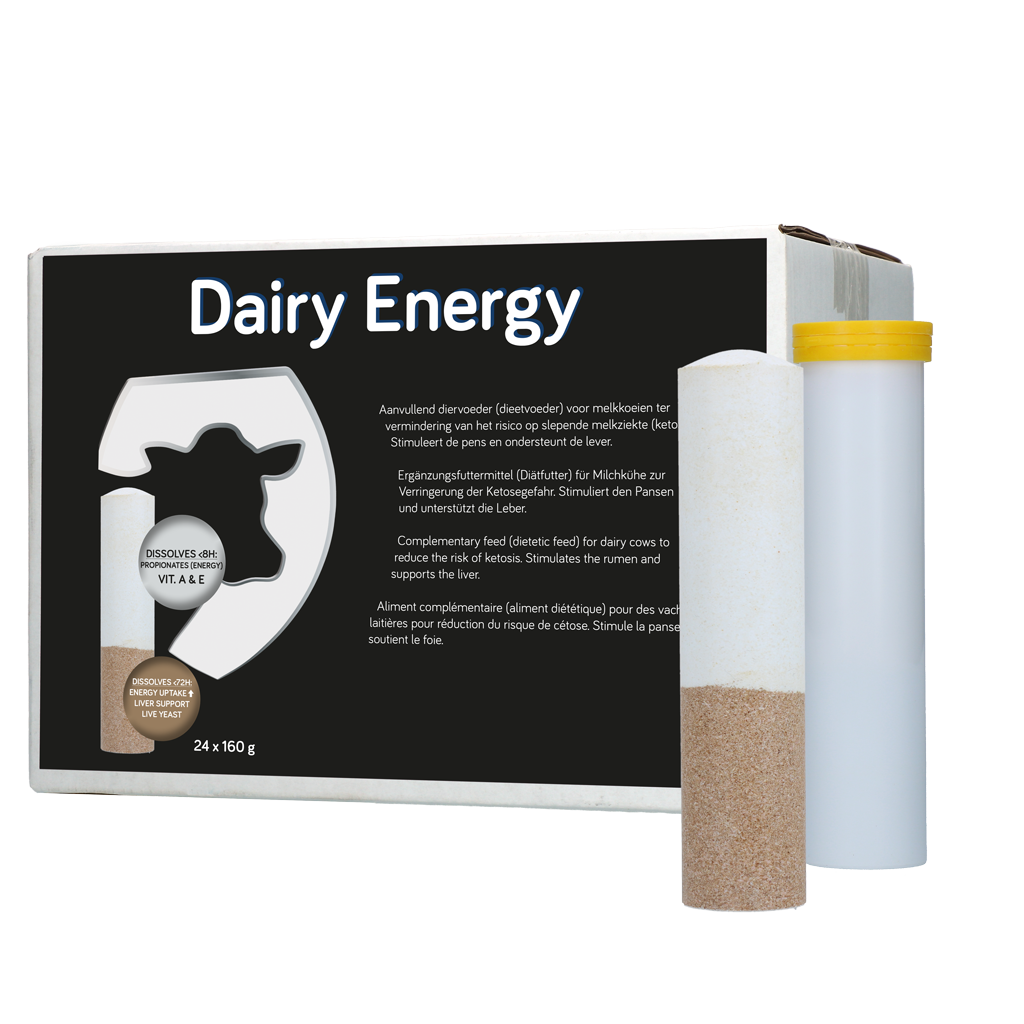 Dairy Energy Bolus
