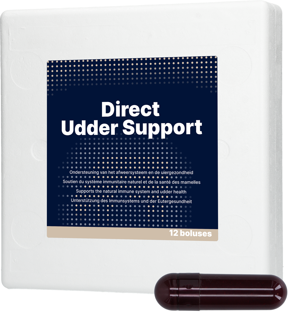Direct Udder Support
