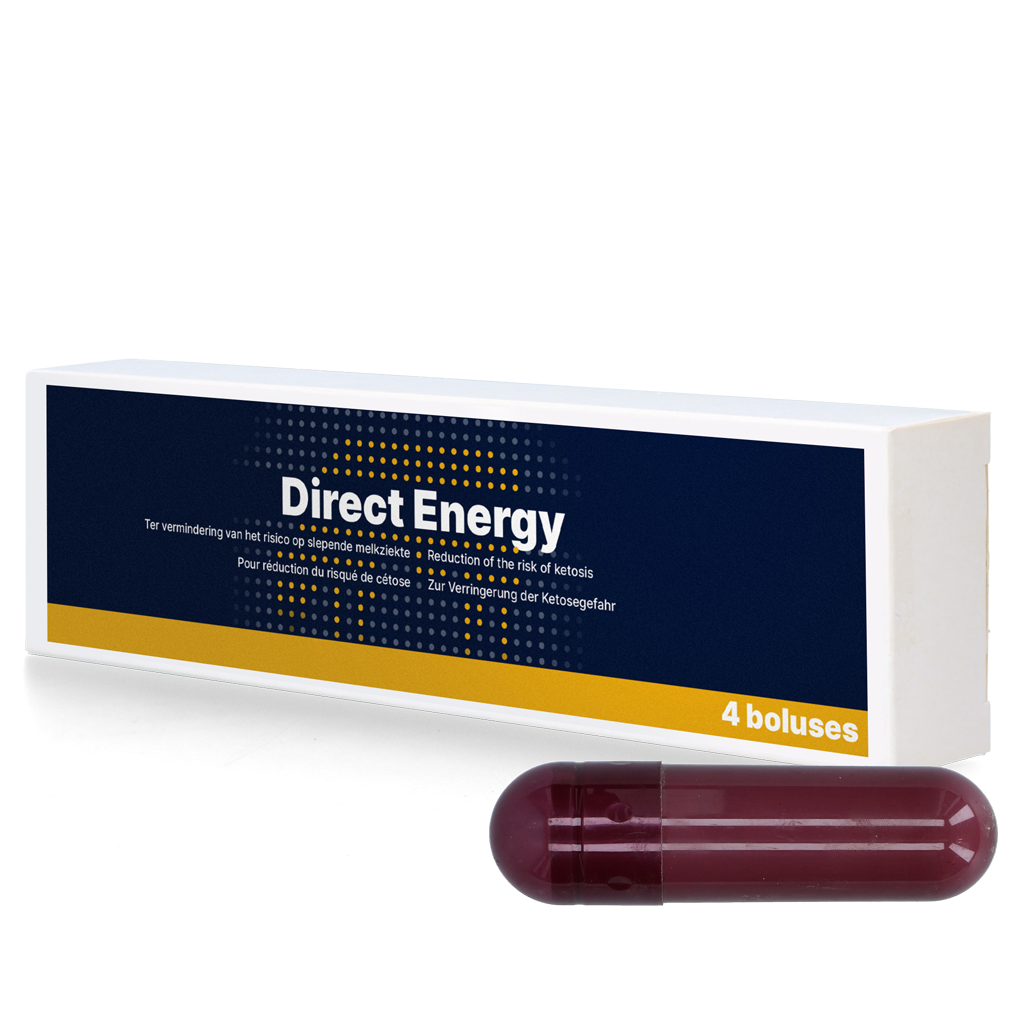 Direct Energy