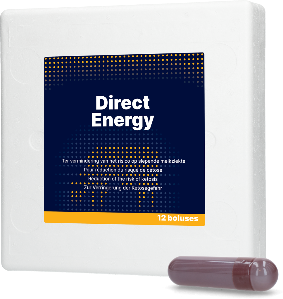 Direct Energy