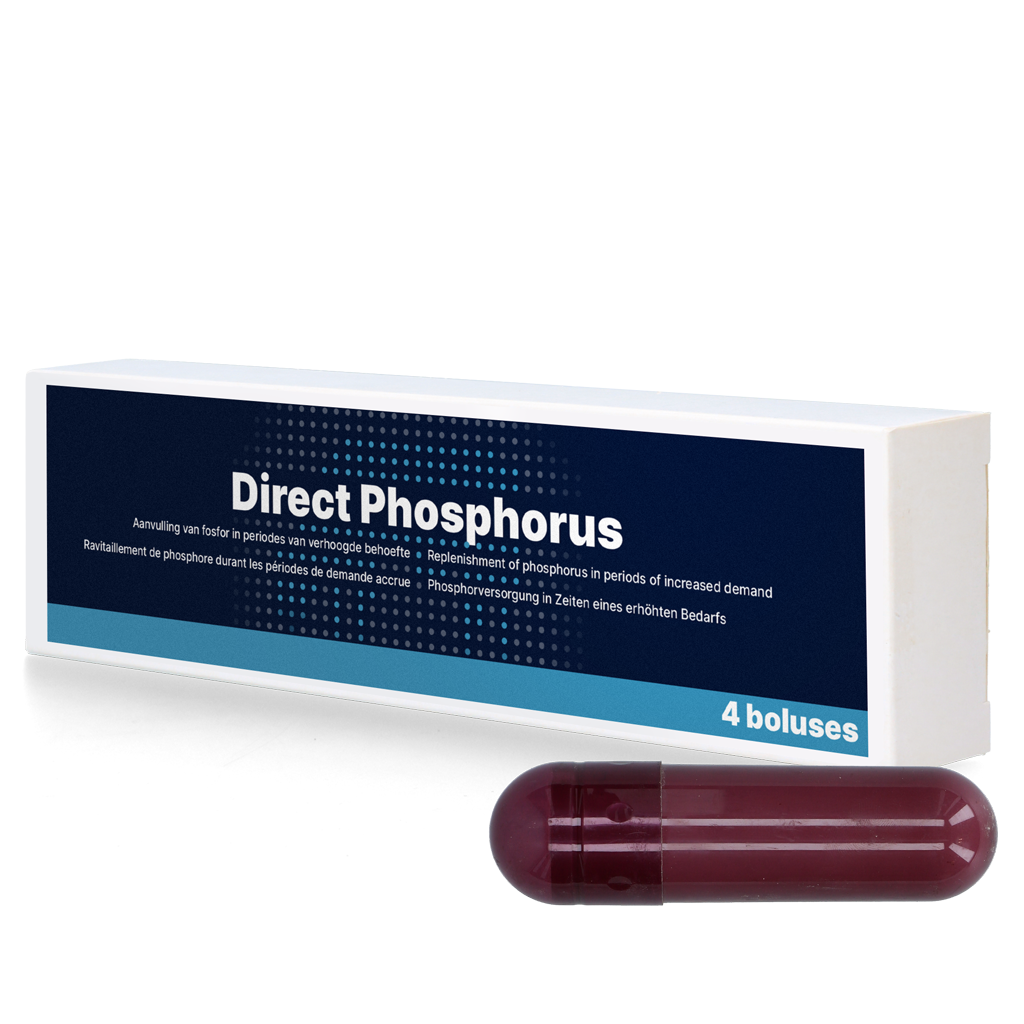 Direct Phosphorus