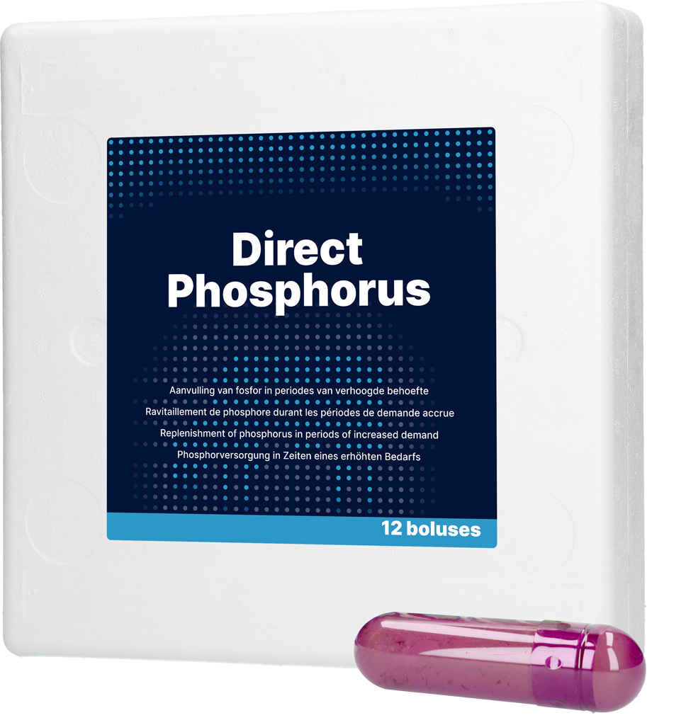 Direct Phosphorus