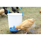 Drinker Poultry for self-assembly