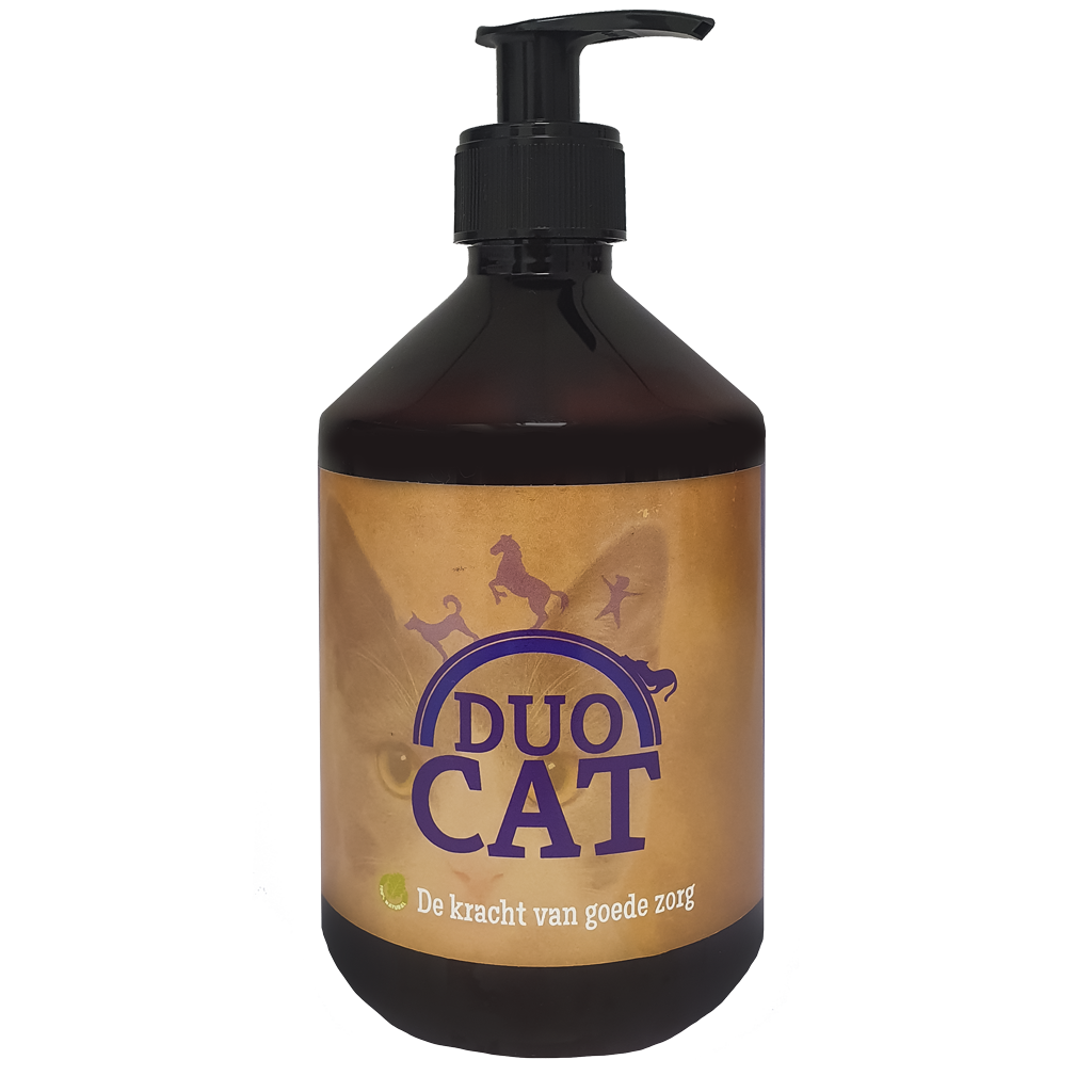 Duo Cat