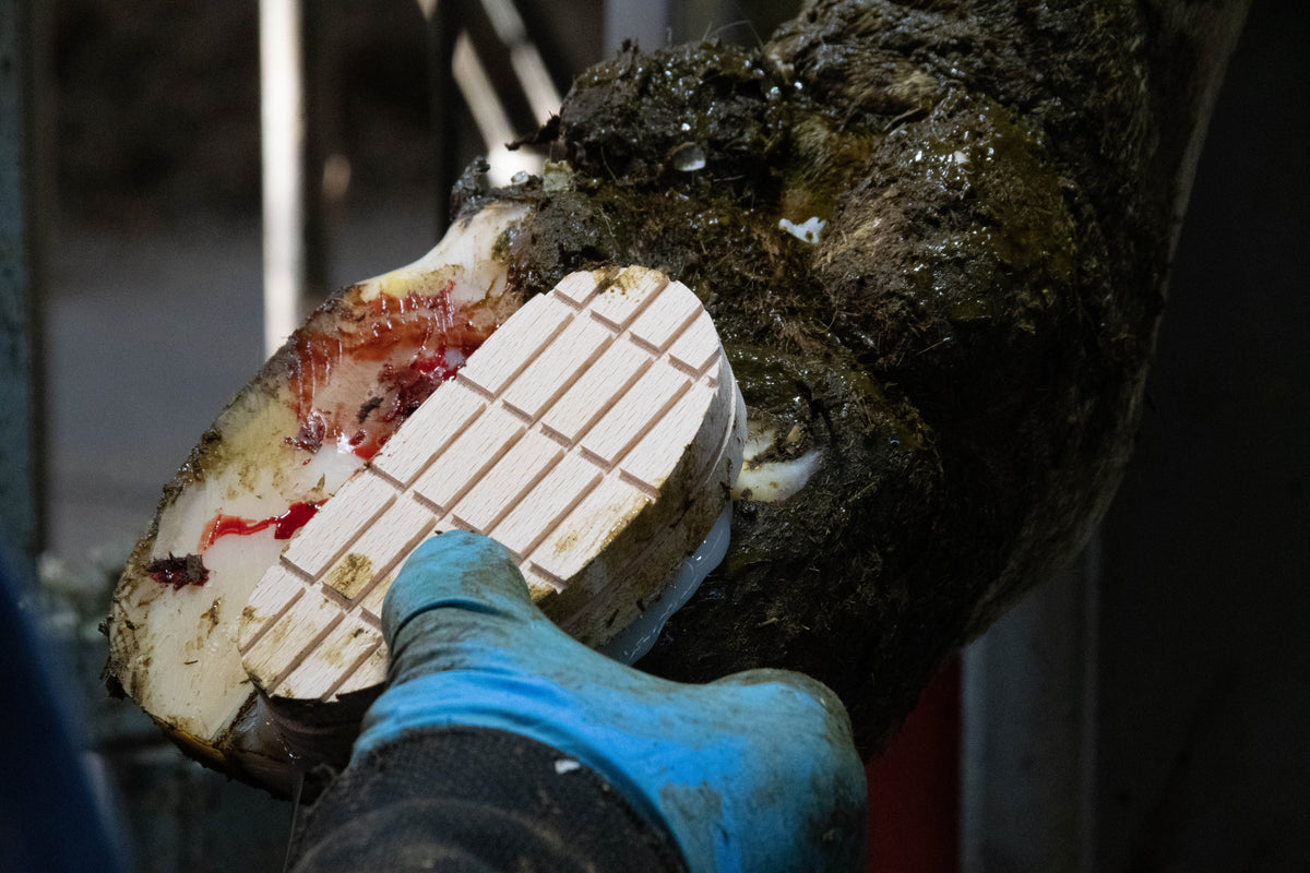 Excellent Easy Hoof Block
