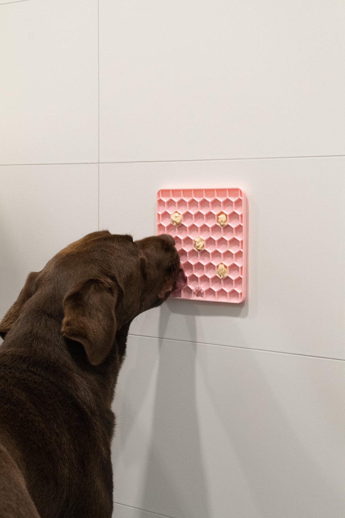 Eat Slow Live Longer Lick Mat Honeycomb