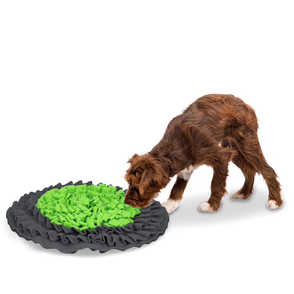 Eat Slow Live Longer Snuffle Mat