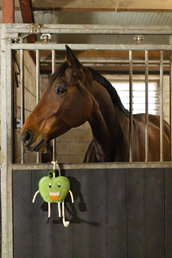 Excellent Horse Foodie Friends