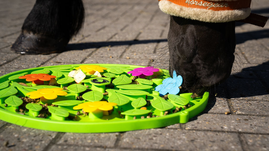 Excellent Horse Snuffle Mat Flower Power