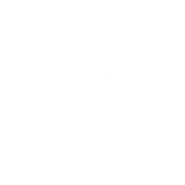 Excellent Horse