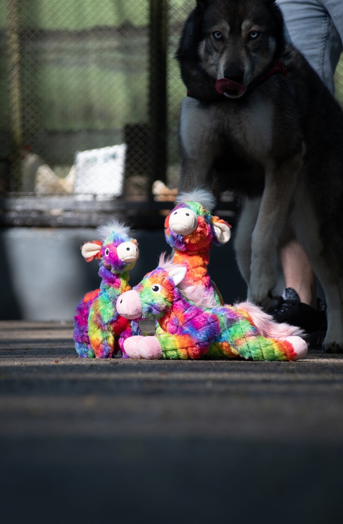 FantaZoo Bunny - L