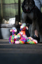 FantaZoo Alpaca - L
