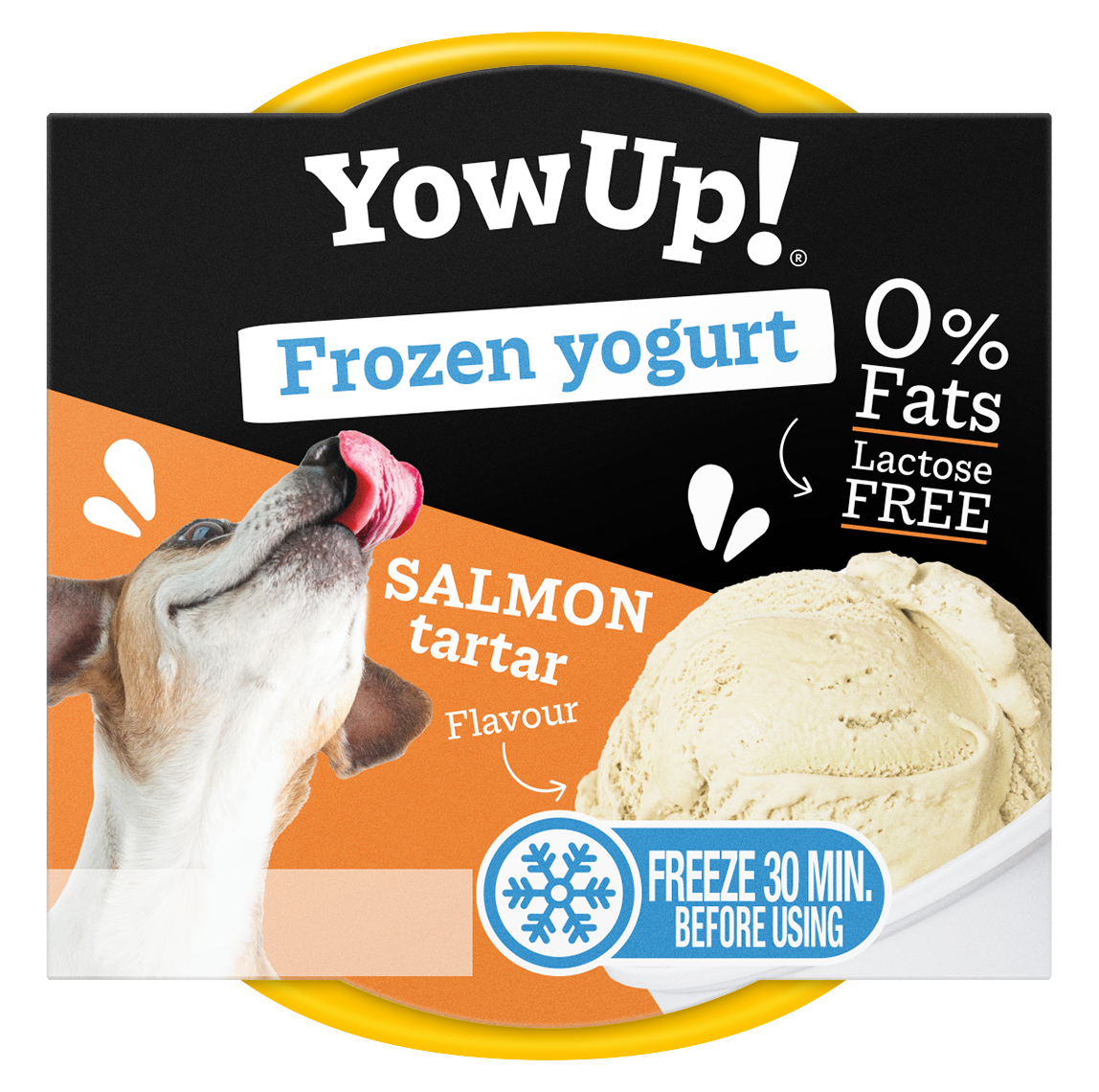 YowUp! Frozen Yoghurt