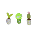 Garden Paws Snuffle Box Sprout, Crop & Cactus