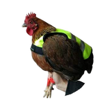 Gaun Pluimvee Kippen Vest