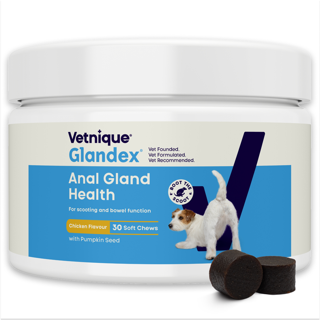 Glandex Soft Chews Chicken