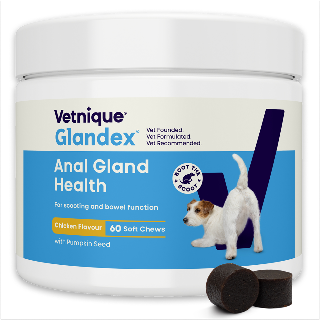 Glandex Soft Chews Chicken