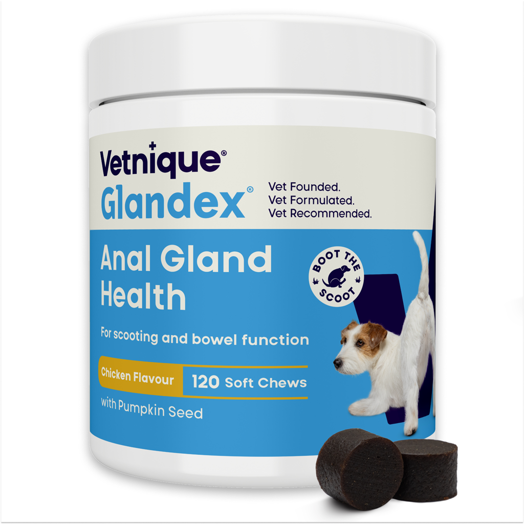 Glandex Soft Chews Chicken