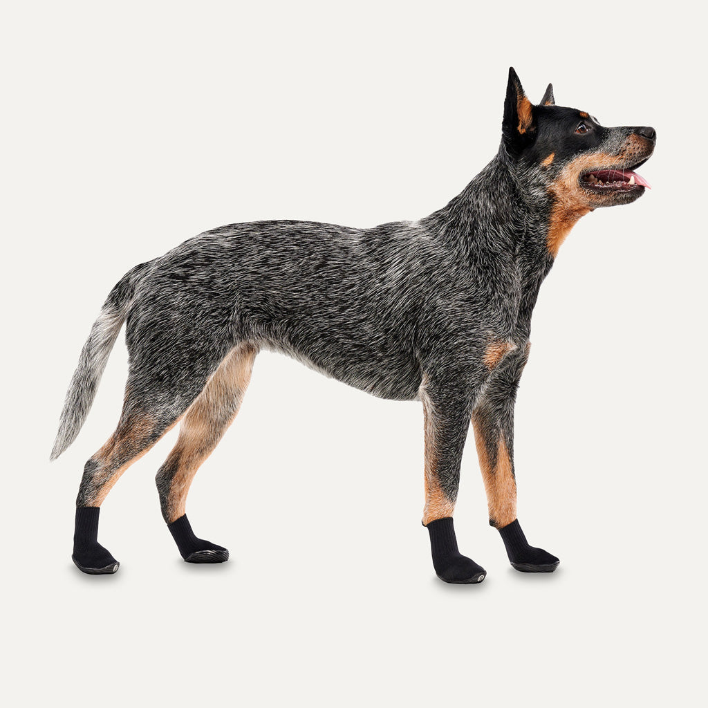 Goo-eez Dog Boots Lites 4 Per Pack