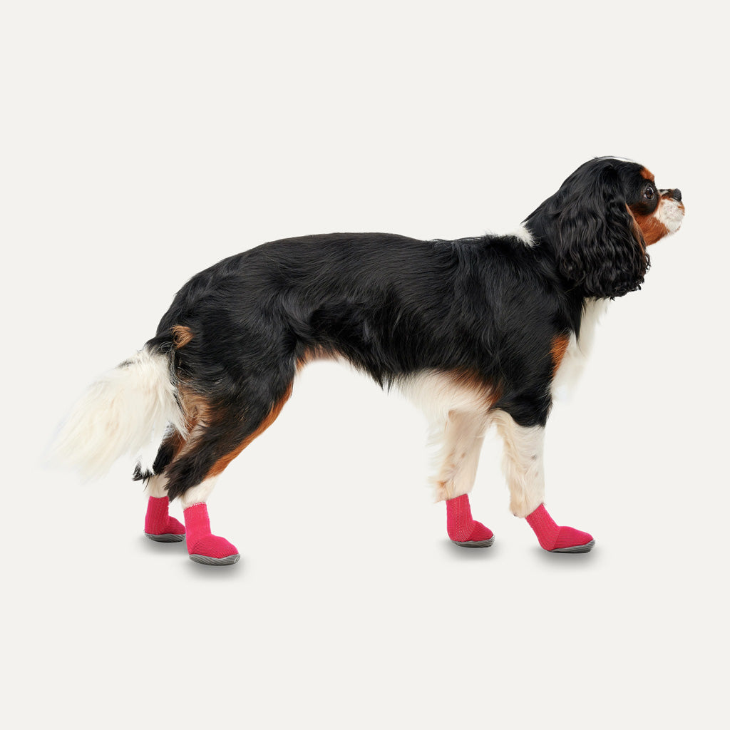 Goo-eez Dog Boots Lites 4 Per Pack Zwart XL