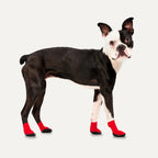 Goo-eez Dog Boots Lites 4 Per Pack Black XL