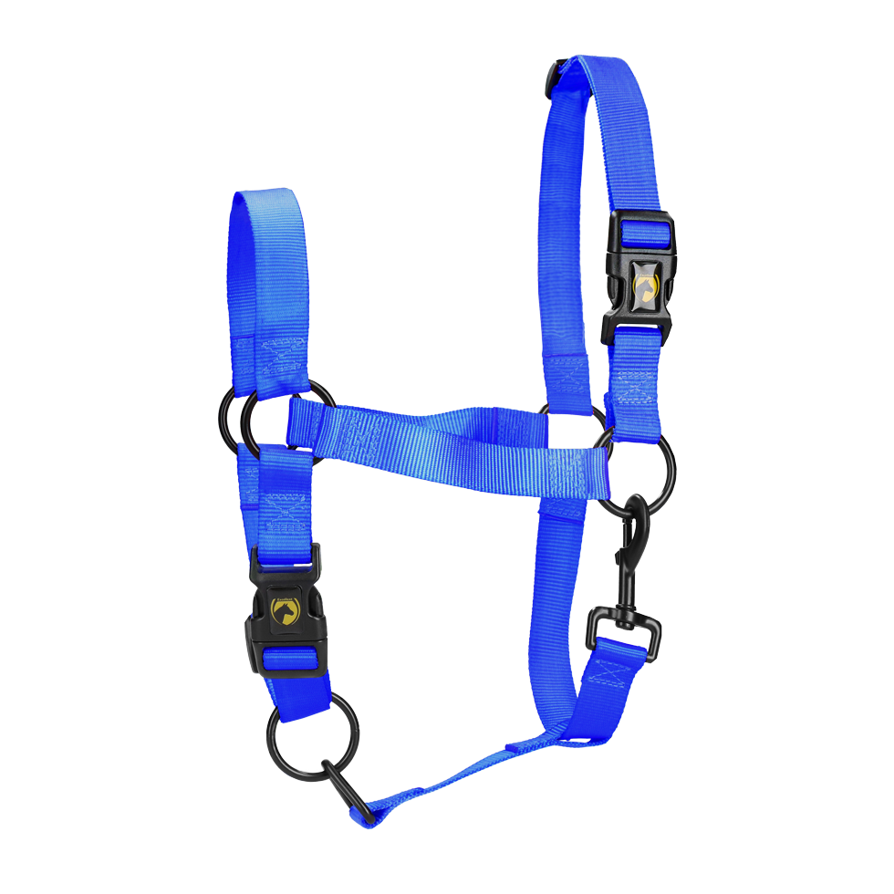 Excellent Essential Halster