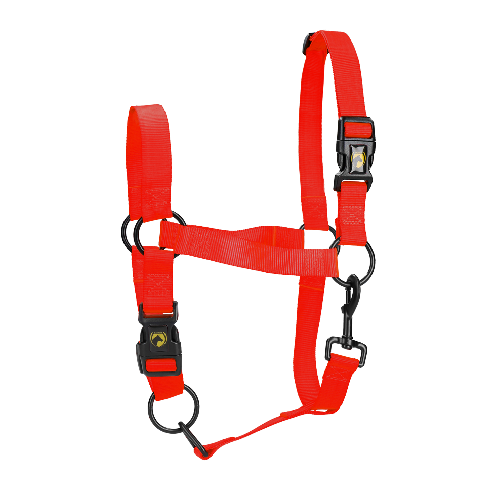 Excellent Essential Halster