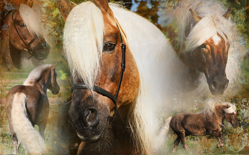 Excellent Horse Hi Gloss Spray