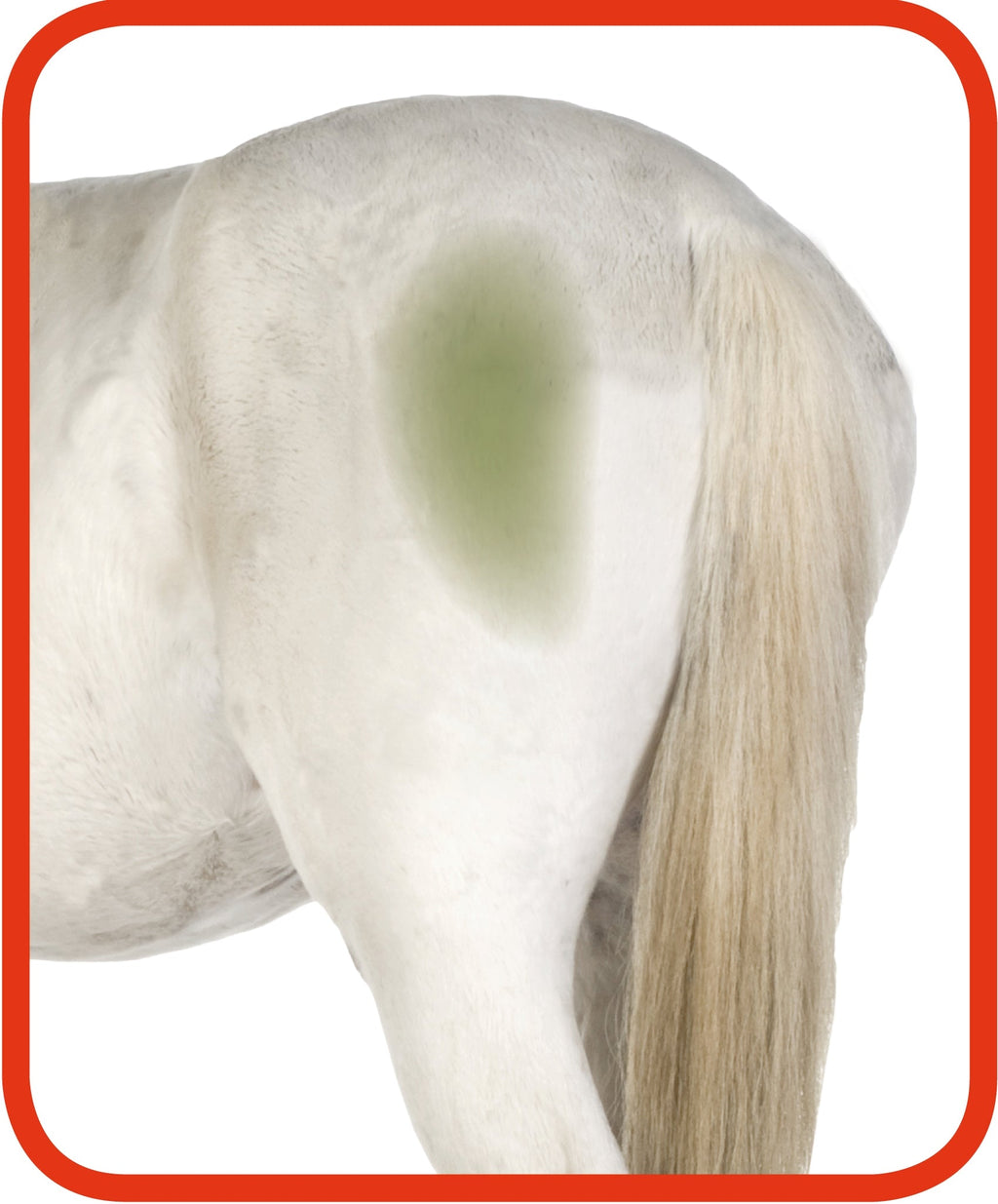 Excellent Horse Hi Gloss Clean Spray 500 ml