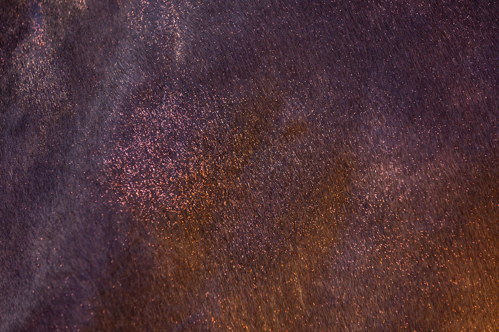 Excellent Horse Hi Gloss Glitter Spray