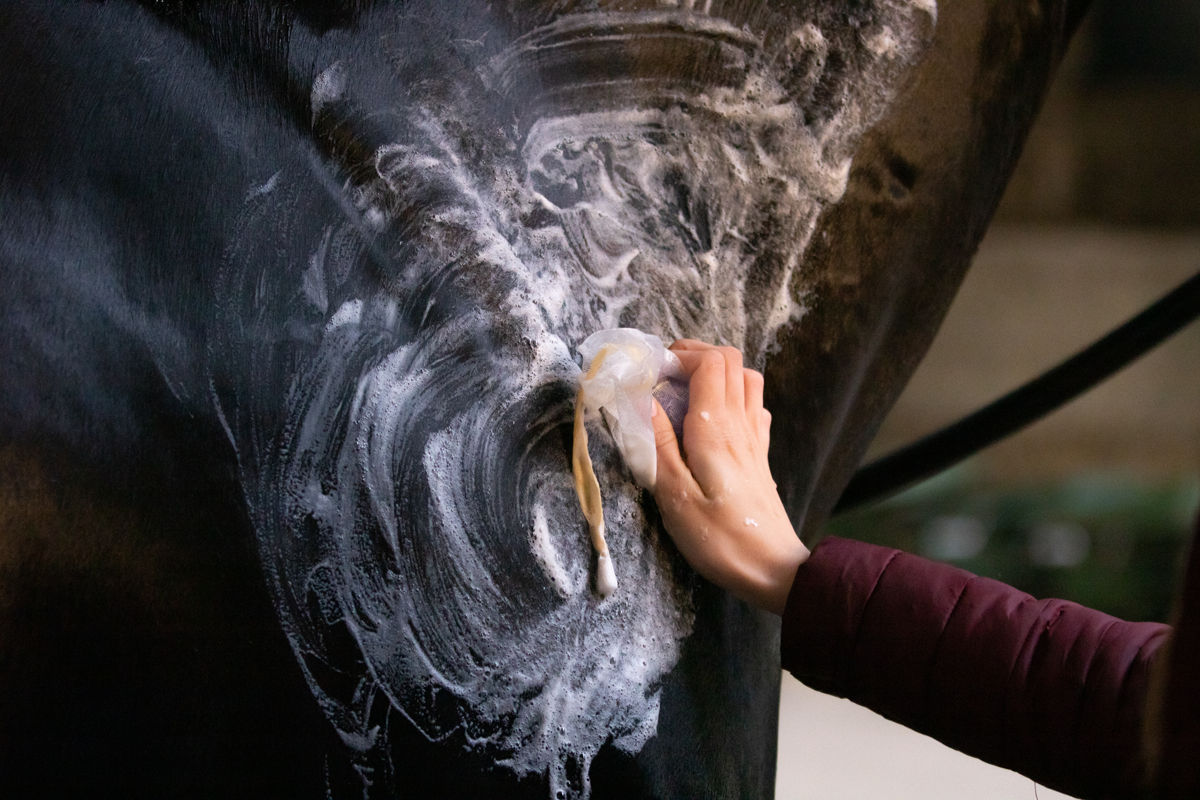 Excellent Horse Hi Gloss Shampoo Bar