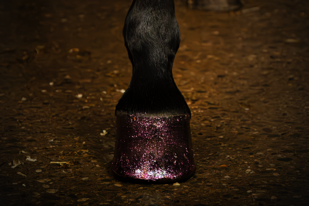 Excellent Horse Hi Gloss Glitter Hoof Polish