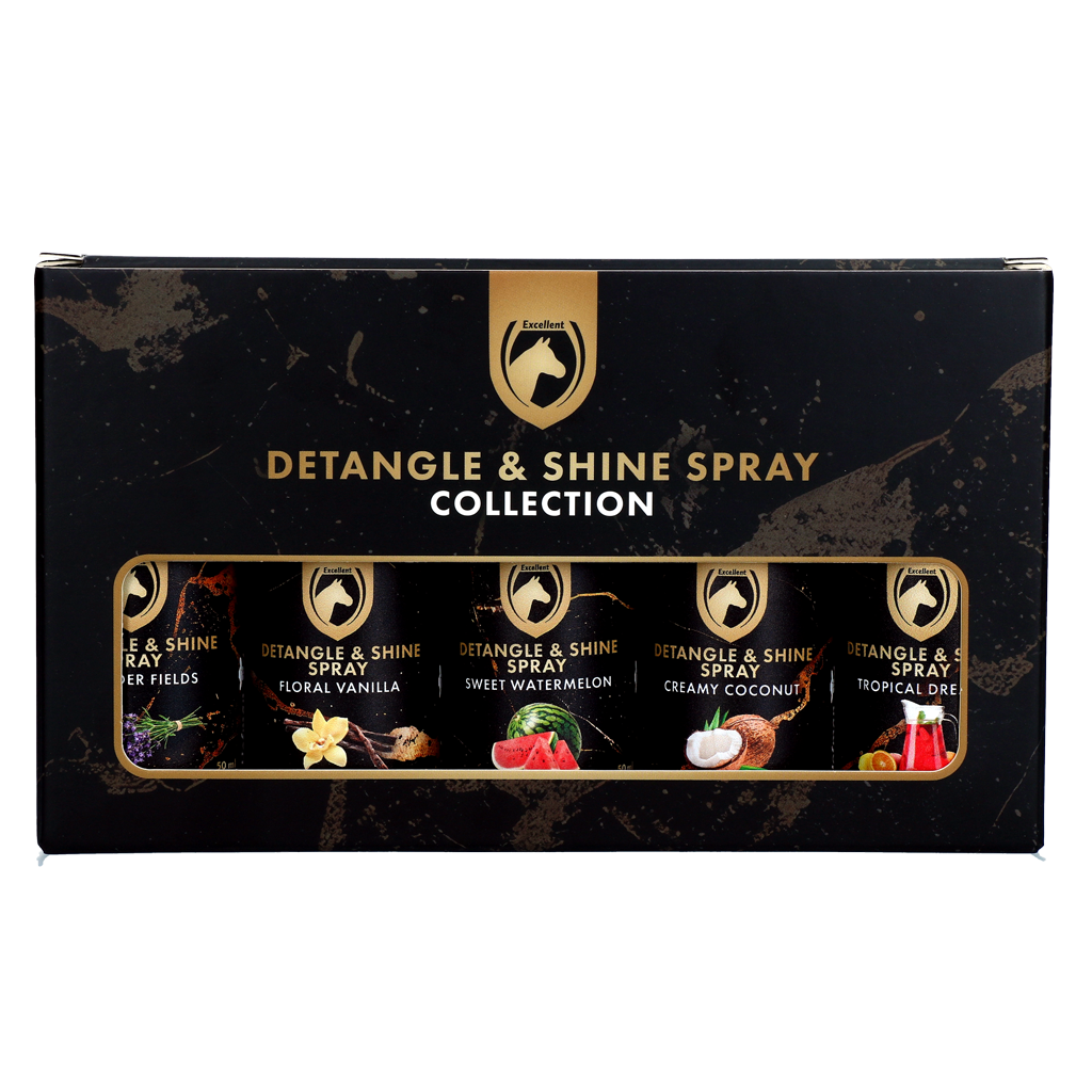 Detangle & Shine Spray Geschenkset 5 x 50 ml