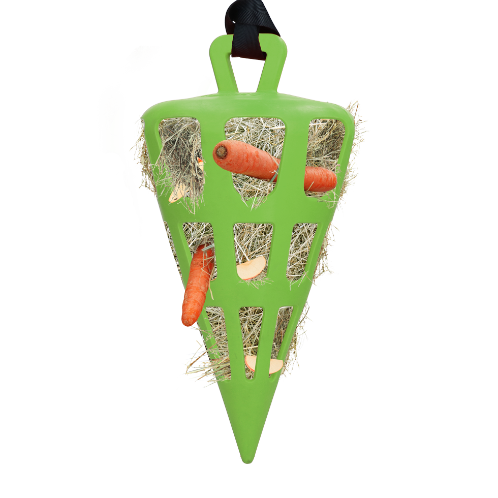 Hay Slow Feeder Fun & Flex Carrot