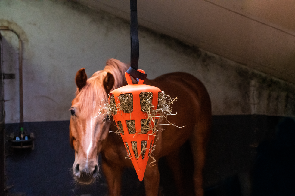 Hay Slow Feeder Fun & Flex Carrot