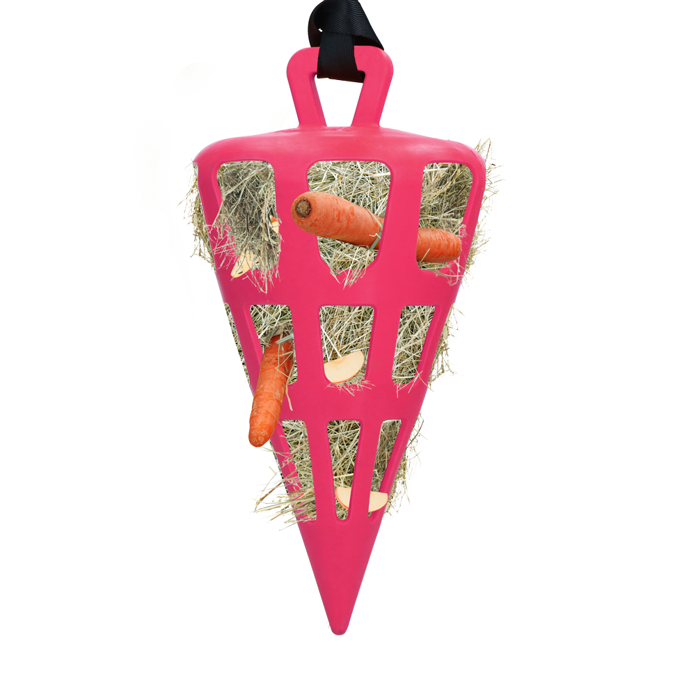 Hay Slow Feeder Fun & Flex Carrot