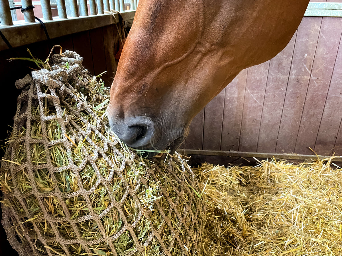 Hay Slow Feeder Net