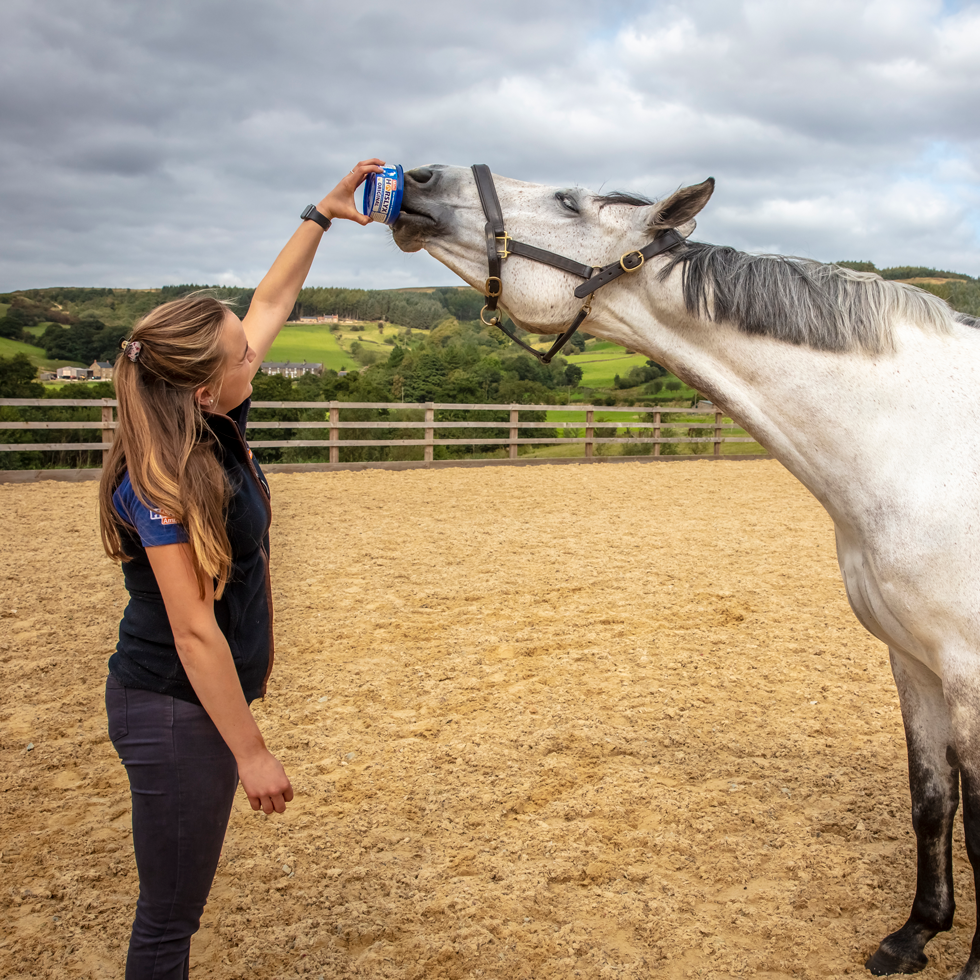 Horslyx Mini