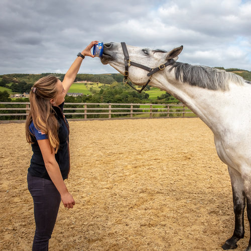 Horslyx Mini