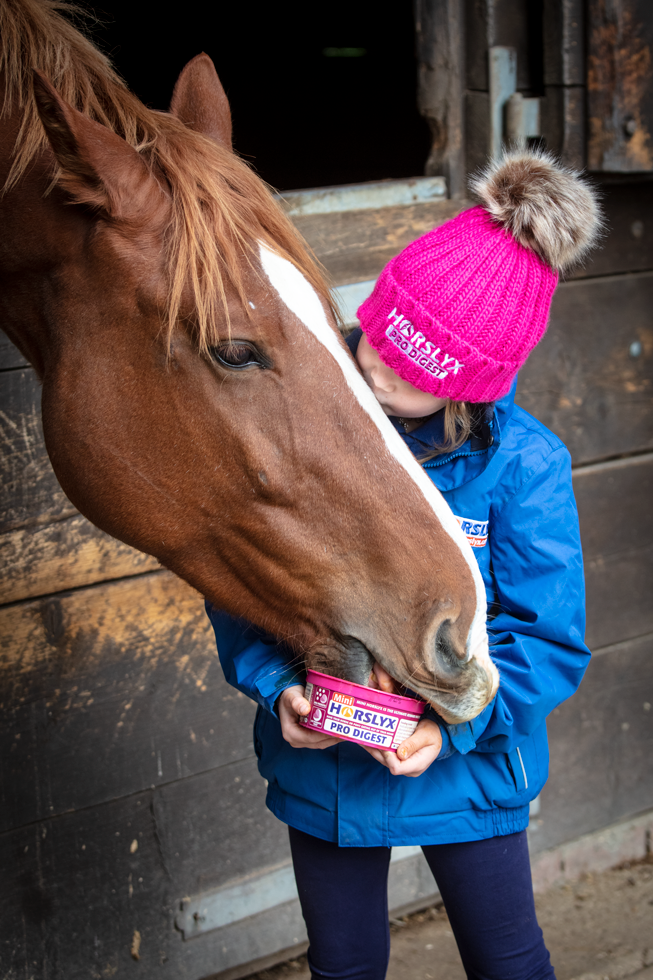 Horslyx Mini Spijsvertering Standaard