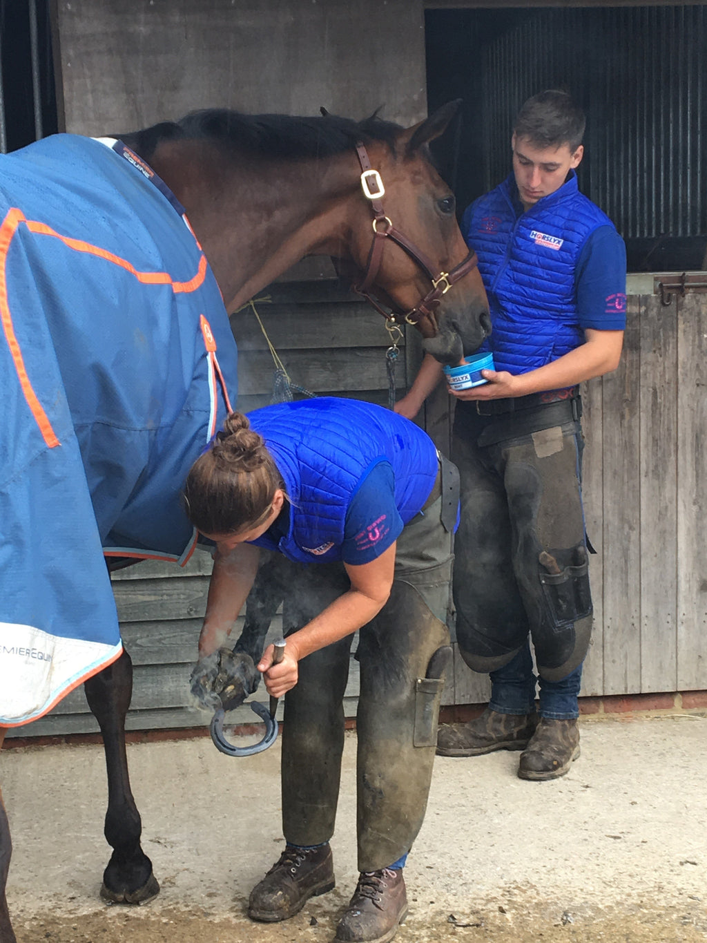 Horslyx Mini Spijsvertering Standaard