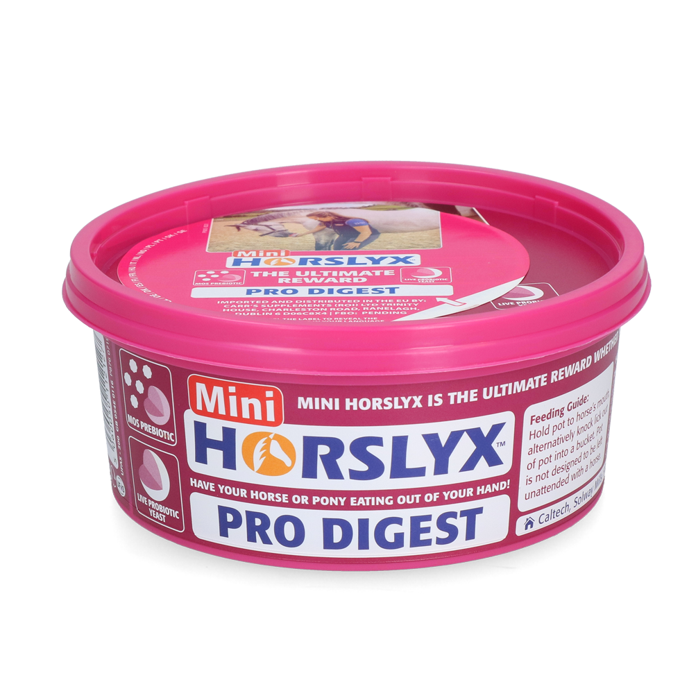 Horslyx Mini Spijsvertering Standaard