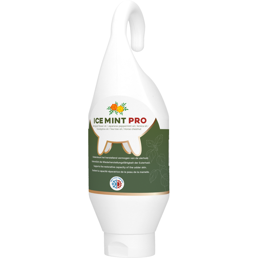 Ice Mint Pro Gel