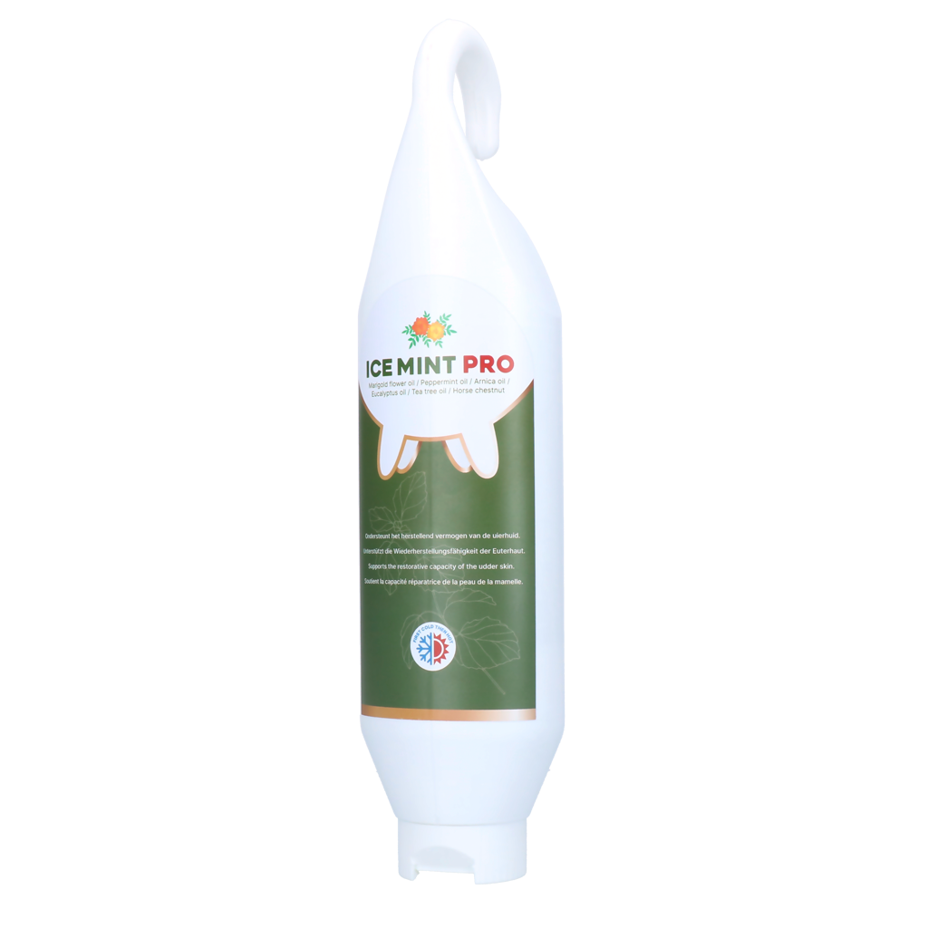 🎁 Ice Mint Pro Gel (100% off)