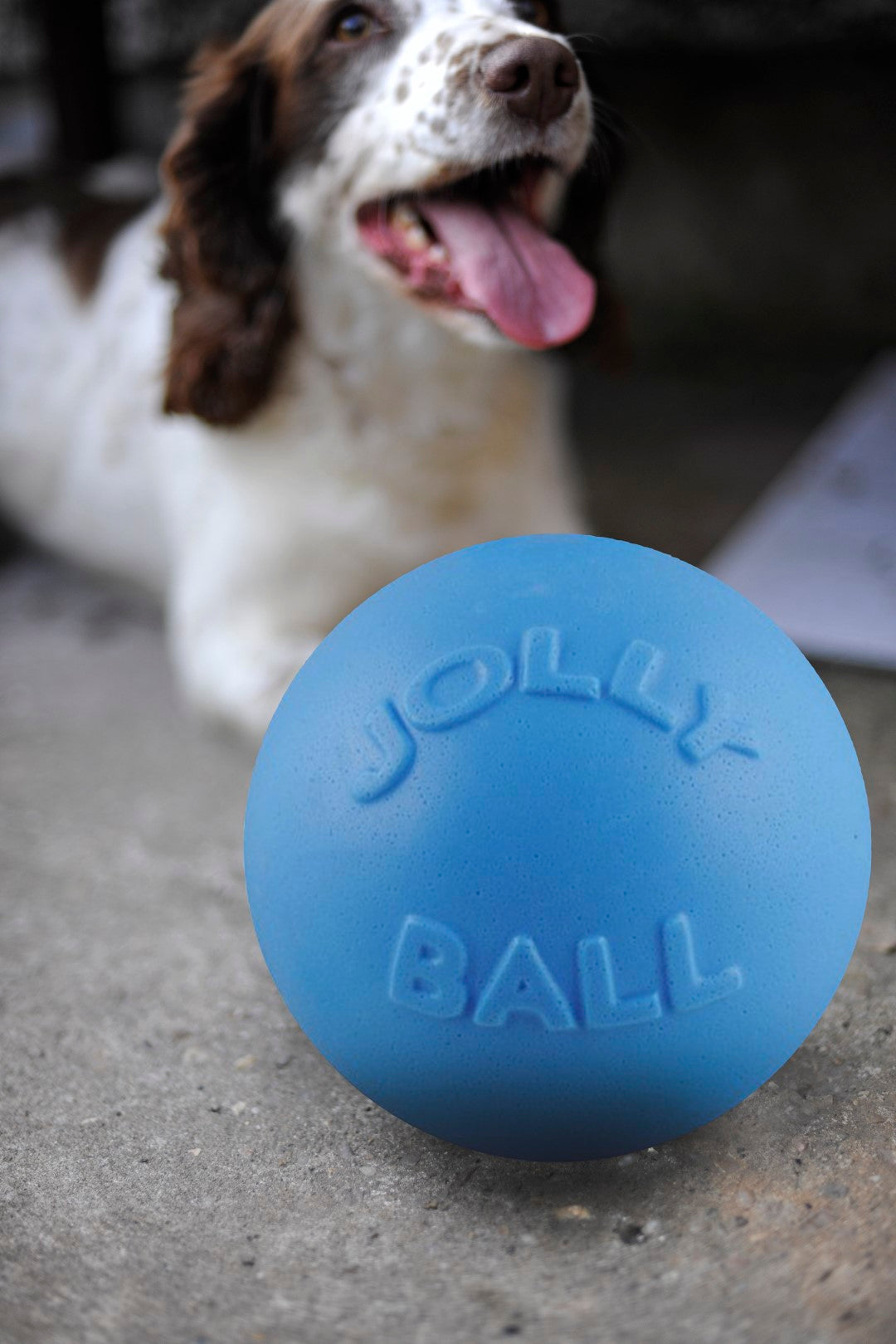 Jolly Bounce-n Play